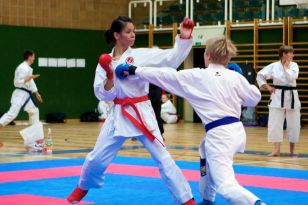 seibukan_Styrian_Open_Fuerstenfeld_2011_056.jpg