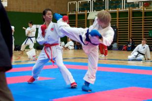 seibukan_Styrian_Open_Fuerstenfeld_2011_059.jpg