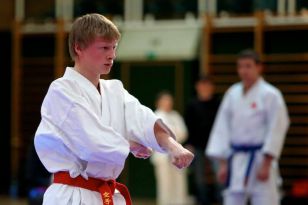 seibukan_Styrian_Open_Fuerstenfeld_2011_066.jpg