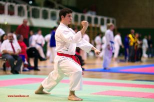 seibukan_Styrian_Open_Fuerstenfeld_2013_011.jpg