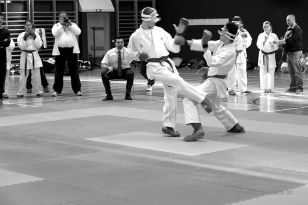 seibukan_Styrian_Open_Fuerstenfeld_2014_050.jpg