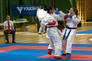 seibukan_Styrian_Open_Fuerstenfeld_2014_070.jpg