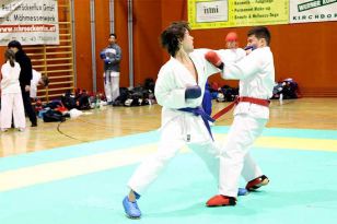 seibukan_VIII_Oesterr_Goju_Ryu_Wado_Ryu_Meisterschaft_2010_038.jpg