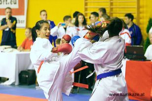 seibukan_Wado_Kai_EM_in_Budapest_2013_056.jpg