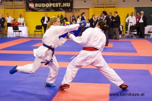 seibukan_Wado_Kai_EM_in_Budapest_2013_070.jpg