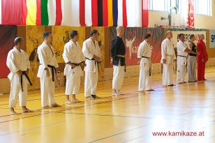 seibukan7_Internationales_Kamikaze_Sommercamp_2015_000.jpg