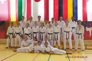 seibukan7_Internationales_Kamikaze_Sommercamp_2015_267.jpg