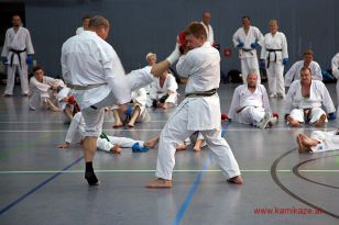 seibukan_3_Int_Karate_Sommercamp_Ravensburg_2015_036.jpg