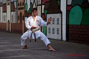 seibukan_3_Int_Karate_Sommercamp_Ravensburg_2015_071.jpg