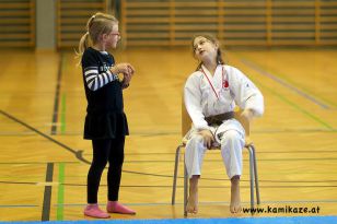 seibukan_Askoe_Landesmeisterschaft_Linz_Auhof_2011_035.jpg