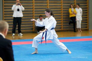 seibukan_Askoe_OOEKarate_Landesmeisterschaft_2013_095.jpg