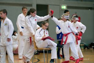 seibukan_Askoe_OOEKarate_Landesmeisterschaft_2013_152.jpg