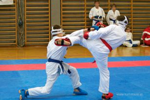 seibukan_Askoe_OOEKarate_Landesmeisterschaft_2013_168.jpg