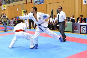 seibukan_Austrian_Junior_Open_2010_032.jpg