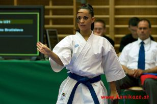 seibukan_Austrian_Junior_Open_2011_042.jpg