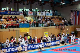 seibukan_Austrian_Junior_Open_2011_118.jpg