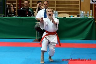 seibukan_Austrian_Junior_Open_2011_128.jpg