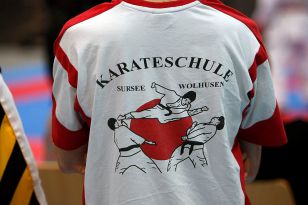 seibukan_Austrian_Karate_Champions_Cup_2010_062.jpg