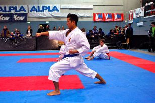 seibukan_Austrian_Karate_Champions_Cup_2010_090.jpg