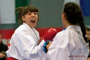 seibukan_Austrian_Karate_Championscup_2015_087.jpg