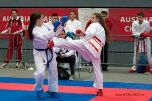 seibukan_Austrian_Karate_Championscup_2015_148.jpg