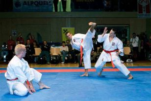 seibukan_Austrian_Open_Golden_League_2009_048.jpg