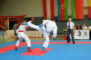 seibukan_Goju_Ryu_EM_Heilbronn_2014_031.jpg