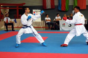 seibukan_Goju_Ryu_EM_Heilbronn_2014_056.jpg