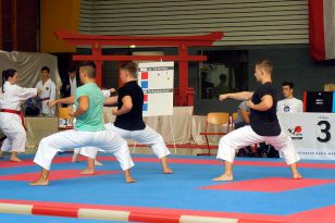 seibukan_Goju_Ryu_EM_Heilbronn_2014_092.jpg