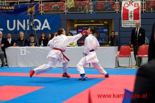 seibukan_Karate1_Premier_League_2016_038.jpg