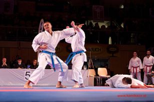 seibukan_Karate1_Premier_League_and_Youth_World Cup_Salzburg_2013_090.jpg