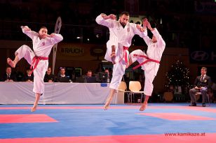 seibukan_Karate1_Premier_League_and_Youth_World Cup_Salzburg_2013_093.jpg