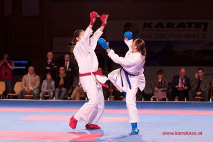 seibukan_Karate1_Premier_League_and_Youth_World Cup_Salzburg_2013_099.jpg