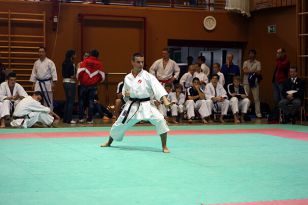 seibukan_Oesterr_Shotokan_Meisterschaft_2009_007.jpg