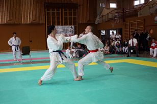 seibukan_Oesterr_Shotokan_Meisterschaft_2009_021.jpg