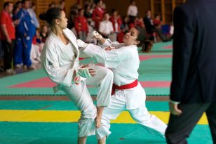 seibukan_Oesterr_Shotokan_Meisterschaft_2011_089.jpg