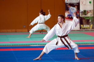 seibukan_Oesterr_Shotokan_Meisterschaft_StGeorgen_2014_033.jpg