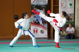 seibukan_Oesterr_Shotokan_Meisterschaft_StGeorgen_2014_060.jpg