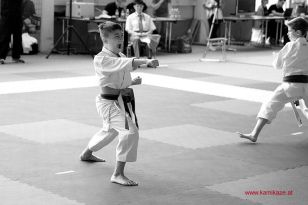 seibukan_Oesterr_Shotokan_Meisterschaft_StGeorgen_2015_091.jpg