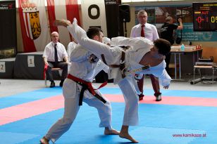 seibukan_Oesterr_Shotokan_Meisterschaft_StGeorgen_2015_130.jpg