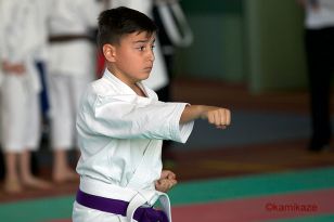 seibukan_Shotokan_OEM_2016_017.jpg