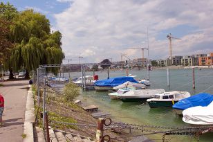 seibukan_Sommercamp_Konstanz_2011_061.jpg