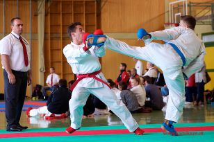 seibukan_Staatsmeisterschaft_Allg_Klasse_2014_072.jpg