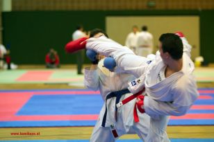 seibukan_Styrian_Open_Fuerstenfeld_2013_025.jpg