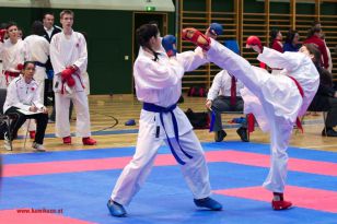 seibukan_Styrian_Open_Fuerstenfeld_2013_055.jpg