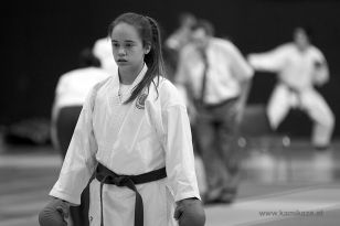 seibukan_Styrian_Open_Fuerstenfeld_2014_069.jpg