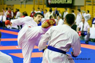 seibukan_Wado_Kai_EM_in_Budapest_2013_024.jpg