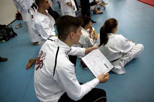 seibukan_World_Karate_Championship_italien_2016_017.jpg