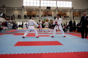 seibukan_World_Karate_Championship_italien_2016_048.jpg