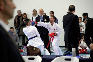 seibukan_World_Karate_Championship_italien_2016_049.jpg